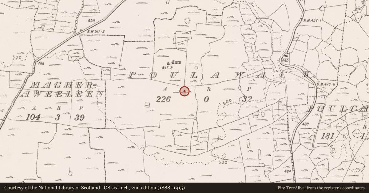 Ordnance Survey six-inch map, 2nd edition (1888–1915) covering the location of Enclosure, Poulawack, County Clare, with a pin at the register's coordinates