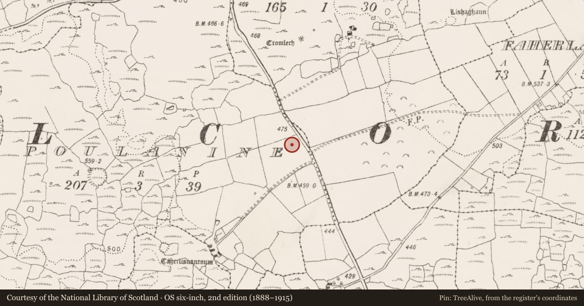 Ordnance Survey six-inch map, 2nd edition (1888–1915) covering the location of Barrow - ring-barrow, Poulanine, County Clare, with a pin at the register's coordinates
