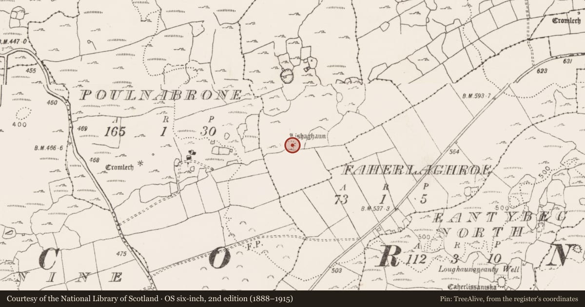 Ordnance Survey six-inch map, 2nd edition (1888–1915) covering the location of Ringfort - cashel, Poulgorm, County Clare, with a pin at the register's coordinates