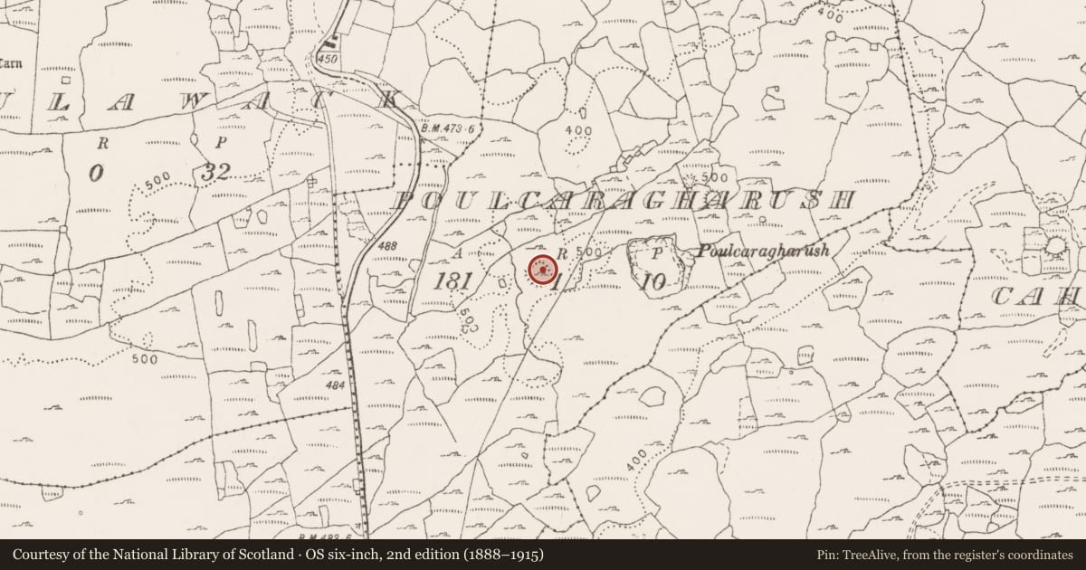 Ordnance Survey six-inch map, 2nd edition (1888–1915) covering the location of Ringfort - cashel, Poulcaragharush, County Clare, with a pin at the register's coordinates