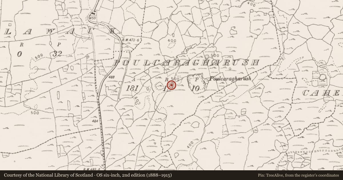 Ordnance Survey six-inch map, 2nd edition (1888–1915) covering the location of Cairn - unclassified, Poulcaragharush, County Clare, with a pin at the register's coordinates