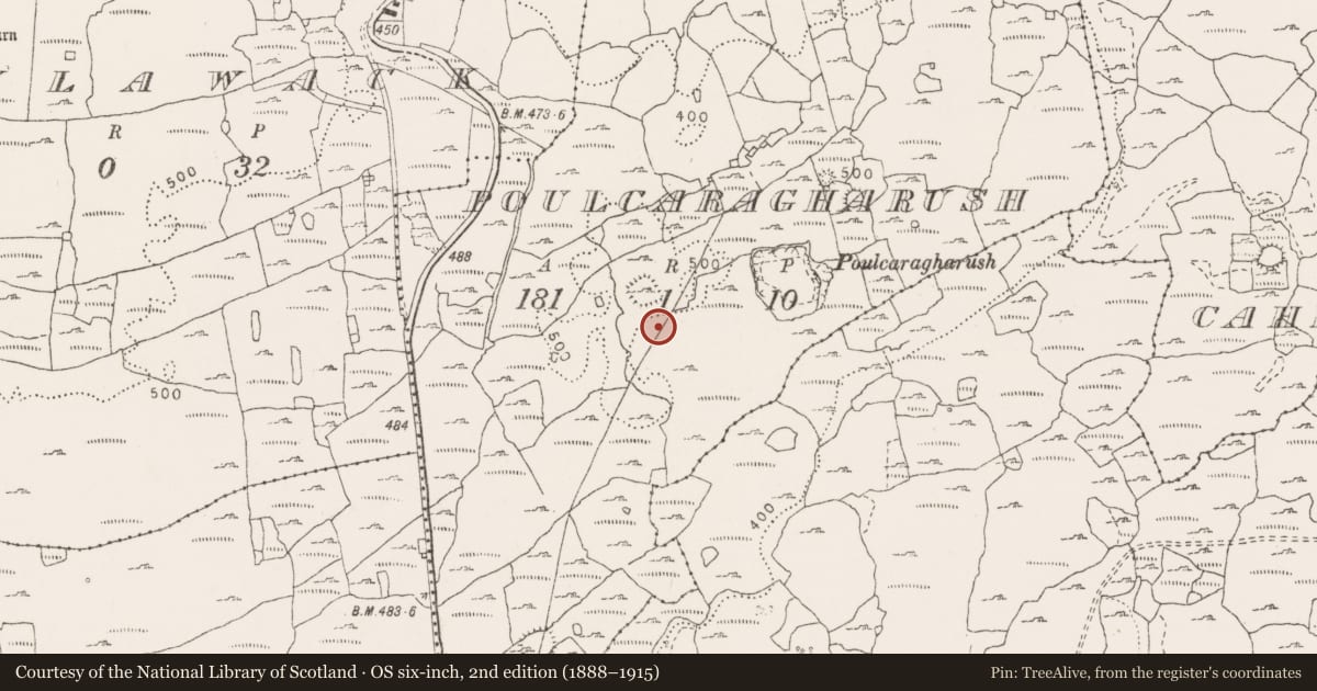 Ordnance Survey six-inch map, 2nd edition (1888–1915) covering the location of Enclosure, Poulcaragharush, County Clare, with a pin at the register's coordinates