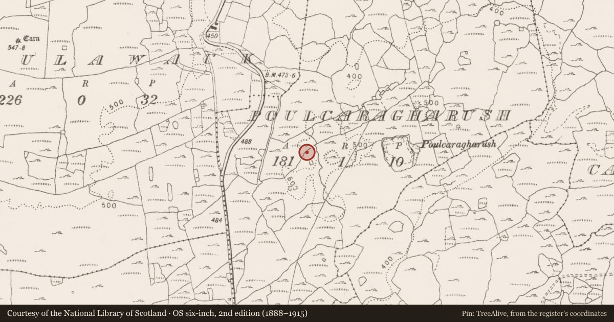Ordnance Survey six-inch map, 2nd edition (1888–1915) covering the location of Road - road/trackway, Poulcaragharush, County Clare, with a pin at the register's coordinates
