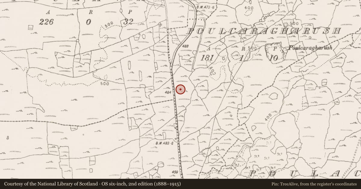 Ordnance Survey six-inch map, 2nd edition (1888–1915) covering the location of Road - road/trackway, County Clare, with a pin at the register's coordinates