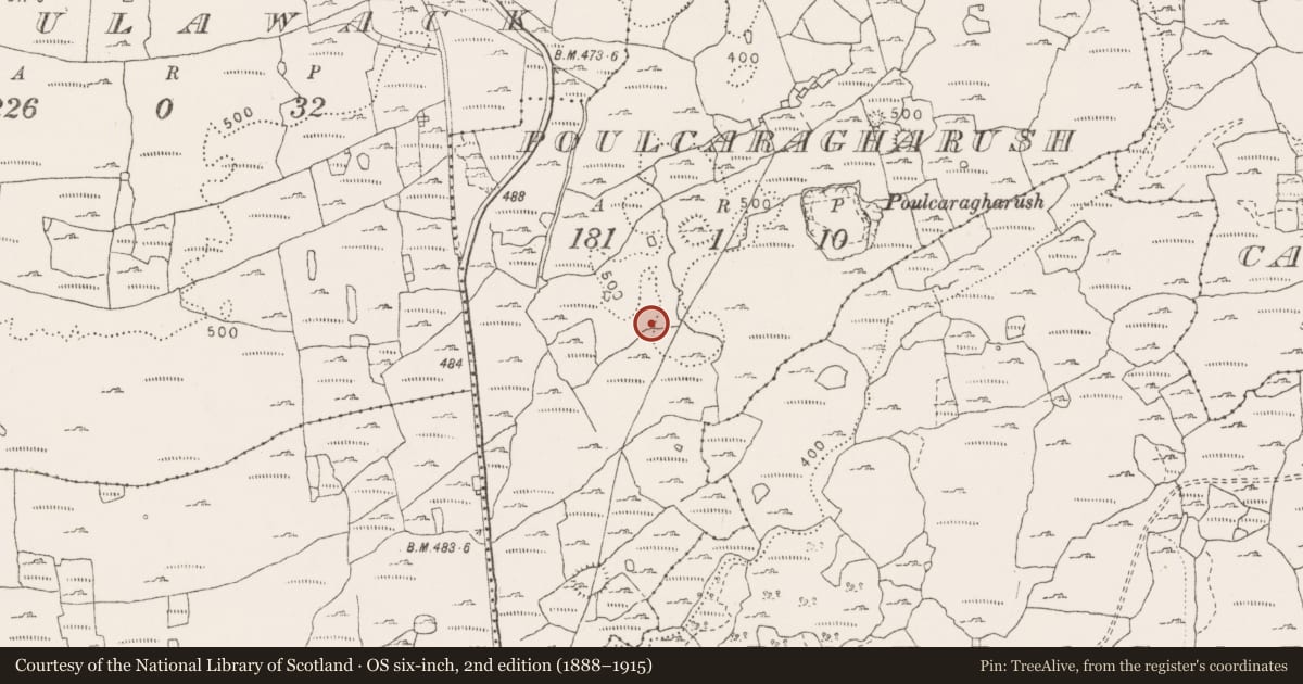 Ordnance Survey six-inch map, 2nd edition (1888–1915) covering the location of Road - road/trackway, County Clare, with a pin at the register's coordinates