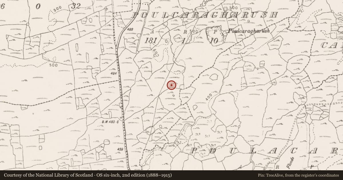 Ordnance Survey six-inch map, 2nd edition (1888–1915) covering the location of Road - road/trackway, Poulcaragharush, County Clare, with a pin at the register's coordinates