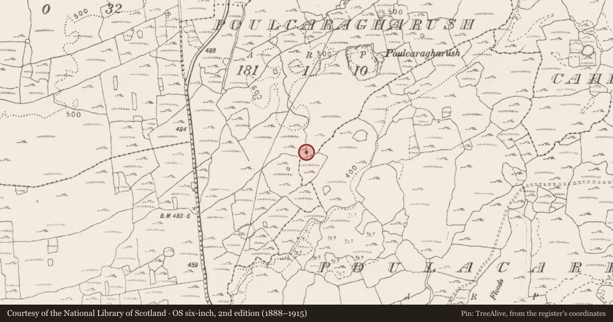 Ordnance Survey six-inch map, 2nd edition (1888–1915) covering the location of Enclosure, Poulcaragharush, County Clare, with a pin at the register's coordinates