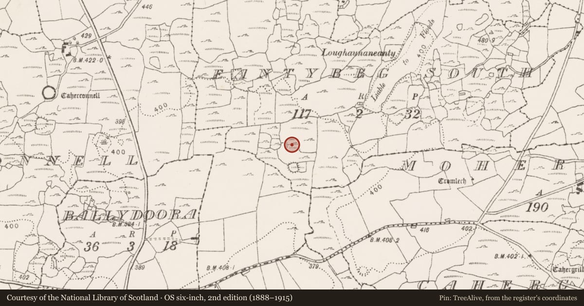 Ordnance Survey six-inch map, 2nd edition (1888–1915) covering the location of Enclosure, Eantybeg South, County Clare, with a pin at the register's coordinates