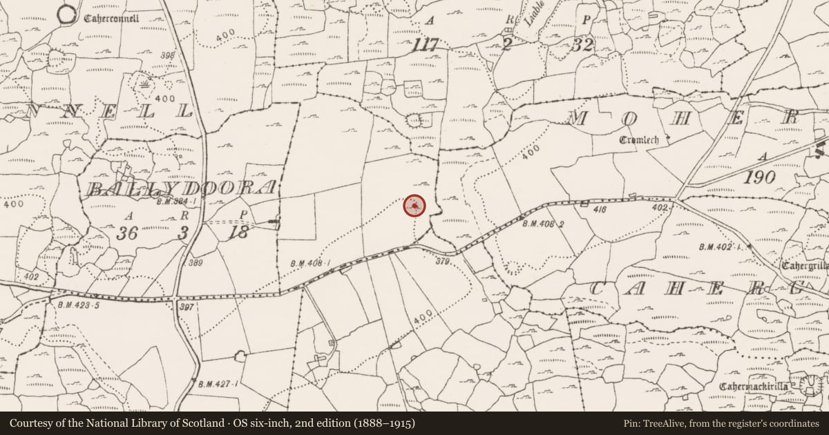 Ordnance Survey six-inch map, 2nd edition (1888–1915) covering the location of Ringfort - cashel, Caherconnell, County Clare, with a pin at the register's coordinates