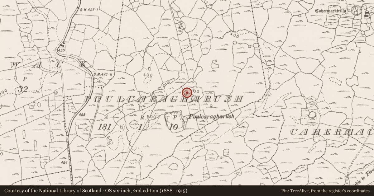 Ordnance Survey six-inch map, 2nd edition (1888–1915) covering the location of Ringfort - cashel, Poulcaragharush, County Clare, with a pin at the register's coordinates