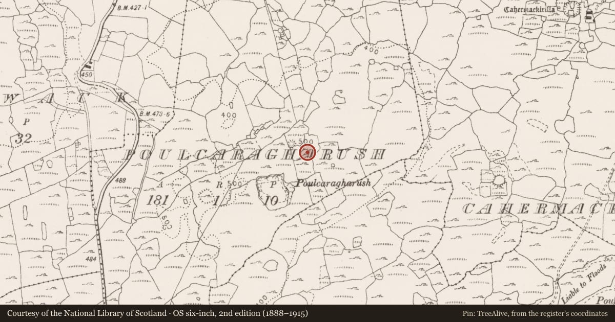 Ordnance Survey six-inch map, 2nd edition (1888–1915) covering the location of Ringfort - cashel, Poulcaragharush, County Clare, with a pin at the register's coordinates