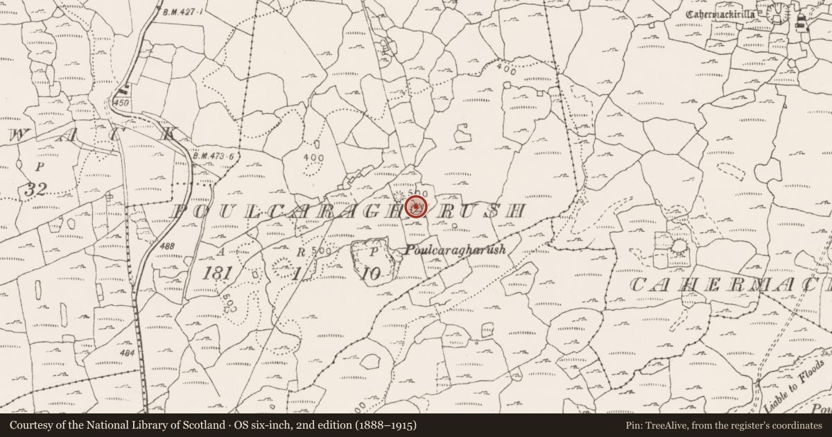 Ordnance Survey six-inch map, 2nd edition (1888–1915) covering the location of Souterrain, Poulcaragharush, County Clare, with a pin at the register's coordinates