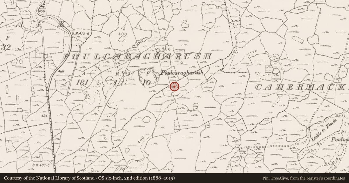 Ordnance Survey six-inch map, 2nd edition (1888–1915) covering the location of Ringfort - cashel, Poulacarran, County Clare, with a pin at the register's coordinates