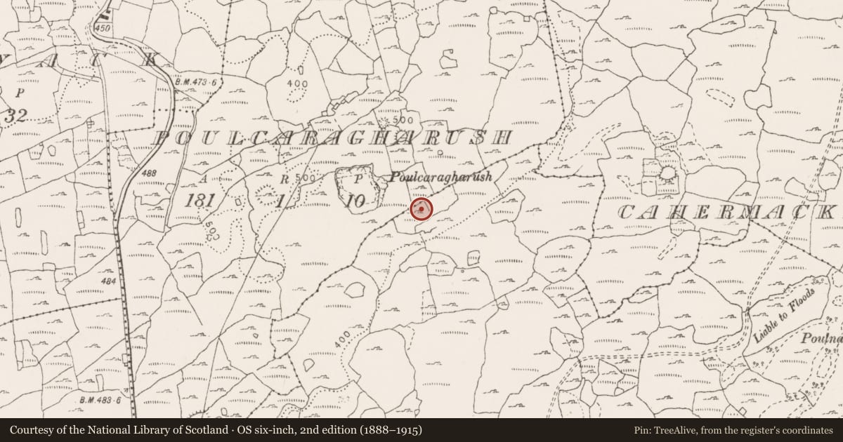Ordnance Survey six-inch map, 2nd edition (1888–1915) covering the location of Souterrain, Poulacarran, County Clare, with a pin at the register's coordinates