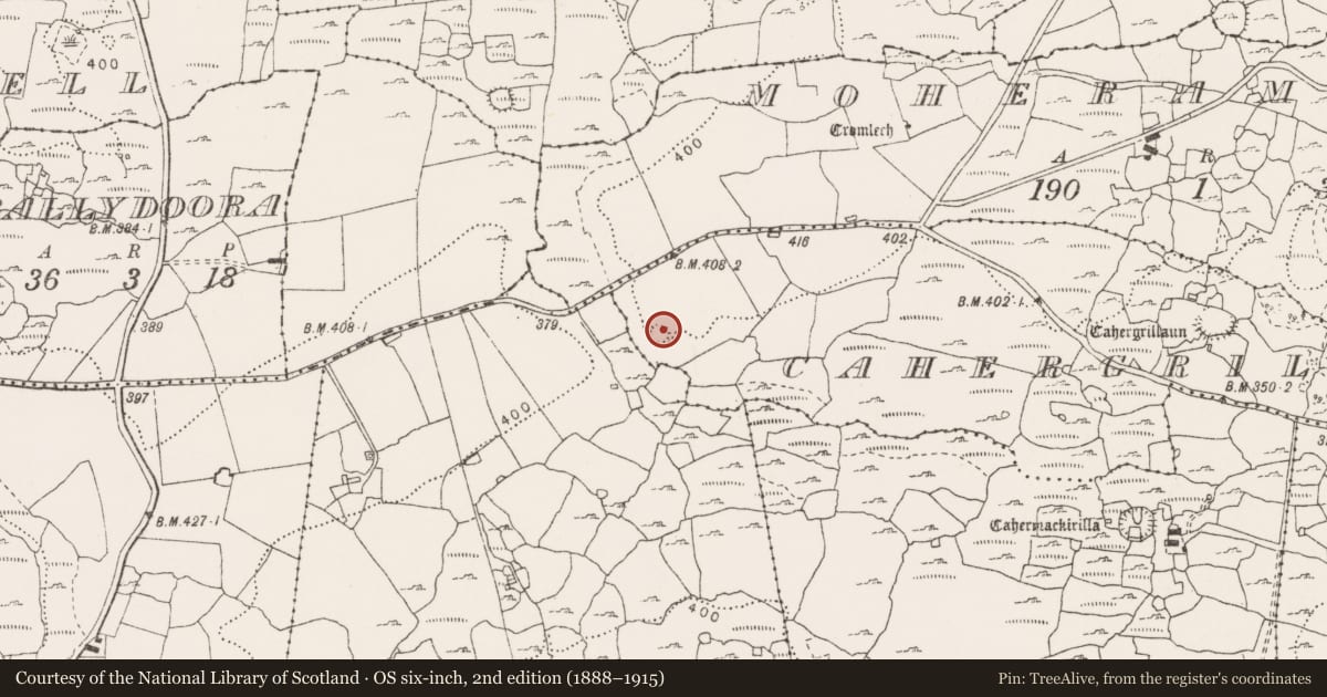 Ordnance Survey six-inch map, 2nd edition (1888–1915) covering the location of Barrow - ring-barrow, Cahergrillaun, County Clare, with a pin at the register's coordinates