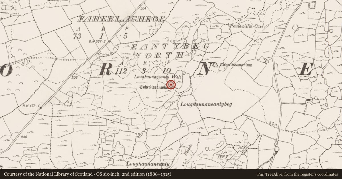 Ordnance Survey six-inch map, 2nd edition (1888–1915) covering the location of Ringfort - cashel, Eantybeg North, County Clare, with a pin at the register's coordinates