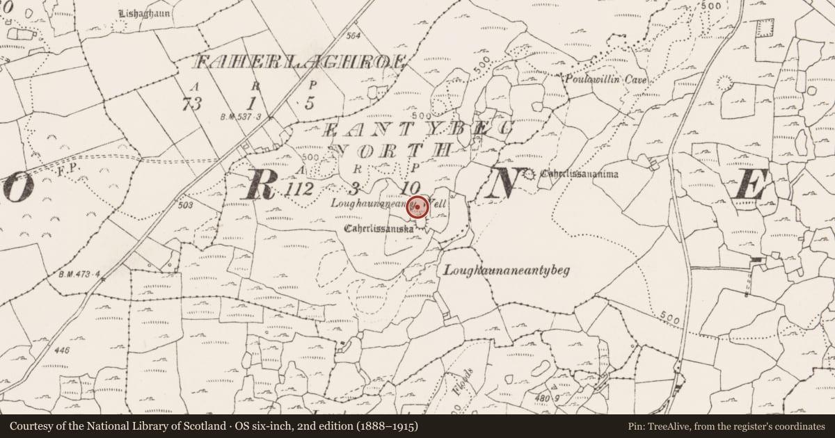 Ordnance Survey six-inch map, 2nd edition (1888–1915) covering the location of Enclosure, Eantybeg North, County Clare, with a pin at the register's coordinates