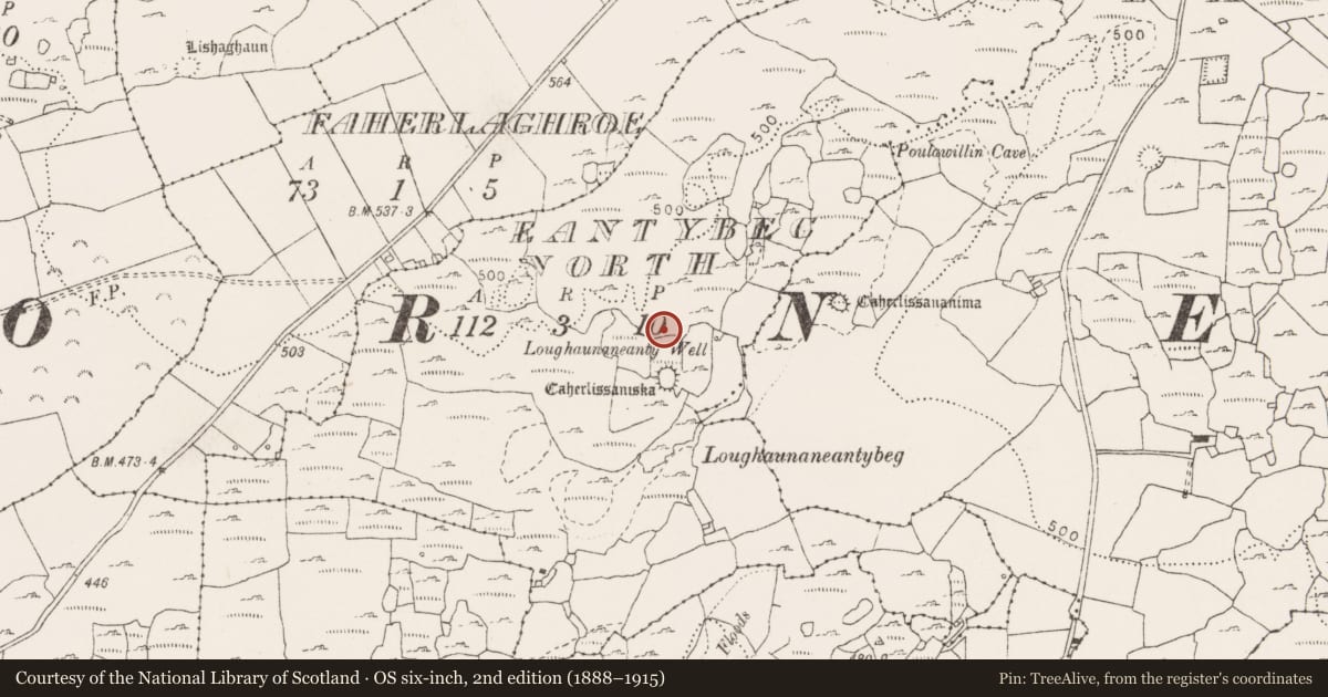 Ordnance Survey six-inch map, 2nd edition (1888–1915) covering the location of Megalithic structure, Eantybeg North, County Clare, with a pin at the register's coordinates