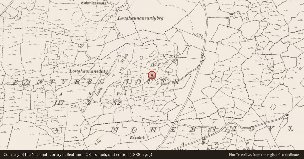 Ordnance Survey six-inch map, 2nd edition (1888–1915) covering the location of Megalithic tomb - wedge tomb, Eantybeg South, County Clare, with a pin at the register's coordinates