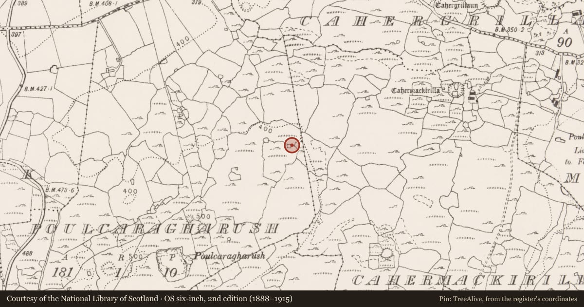 Ordnance Survey six-inch map, 2nd edition (1888–1915) covering the location of House - indeterminate date, Poulcaragharush, County Clare, with a pin at the register's coordinates