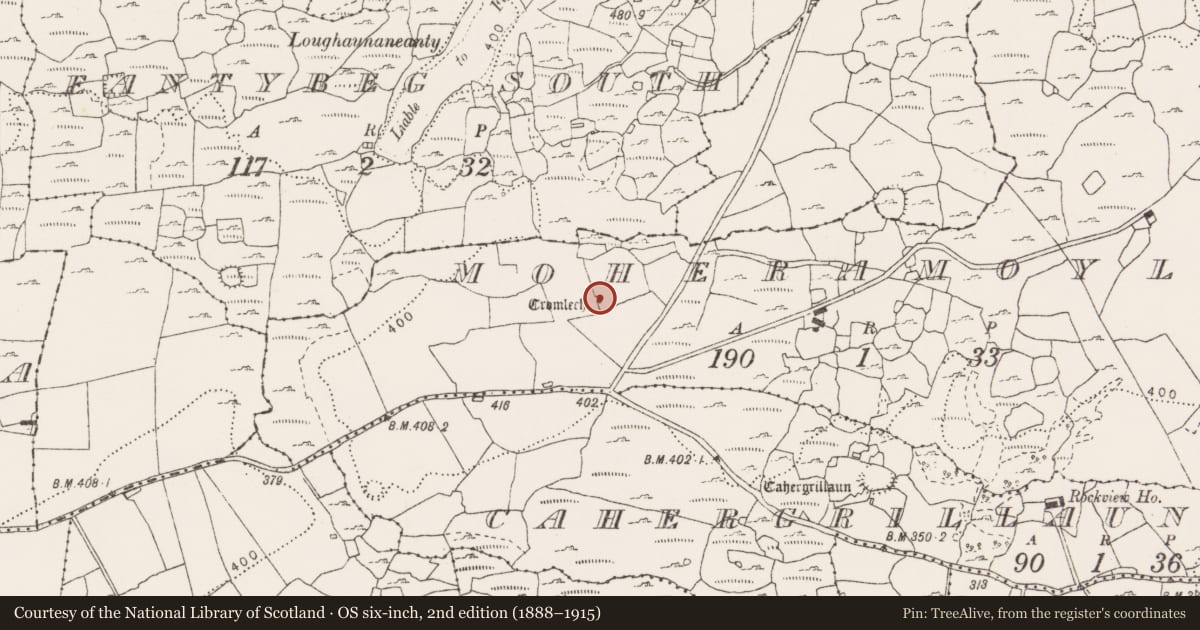 Ordnance Survey six-inch map, 2nd edition (1888–1915) covering the location of Megalithic tomb - wedge tomb, Moheramoylan, County Clare, with a pin at the register's coordinates