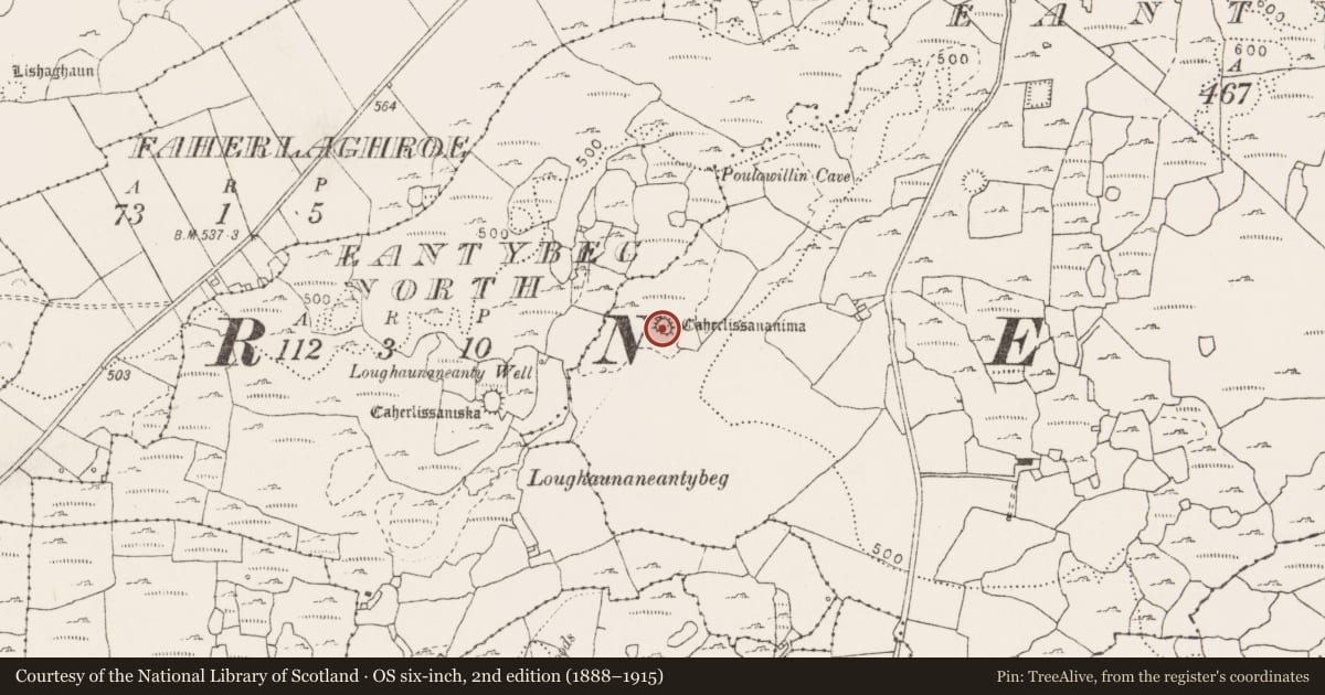 Ordnance Survey six-inch map, 2nd edition (1888–1915) covering the location of Ringfort - cashel, Eanty More, County Clare, with a pin at the register's coordinates