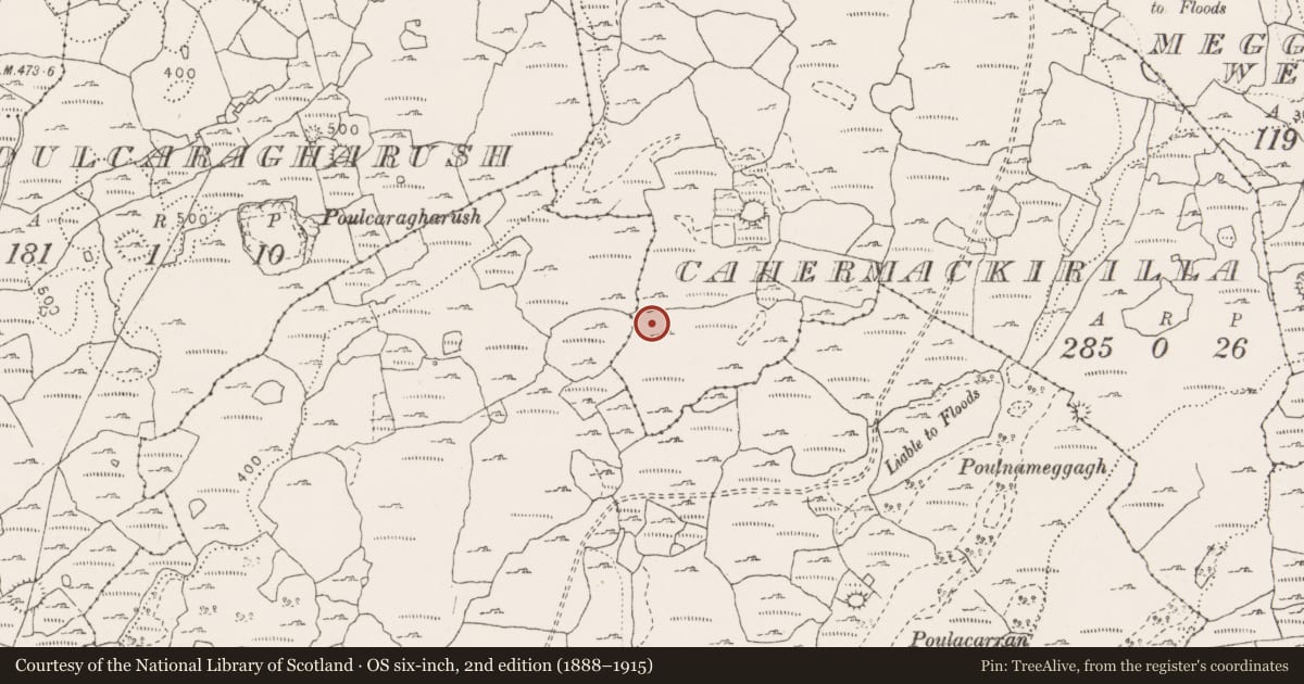 Ordnance Survey six-inch map, 2nd edition (1888–1915) covering the location of Ringfort - cashel, Cahermackirilla, County Clare, with a pin at the register's coordinates