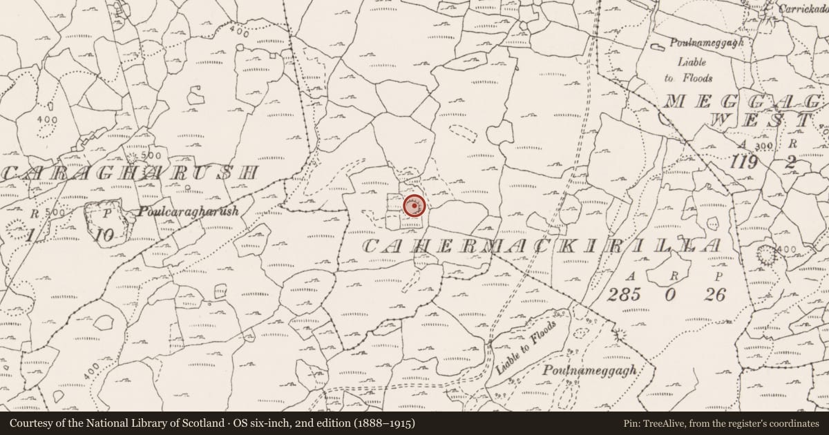 Ordnance Survey six-inch map, 2nd edition (1888–1915) covering the location of Ringfort - cashel, Cahermackirilla, County Clare, with a pin at the register's coordinates