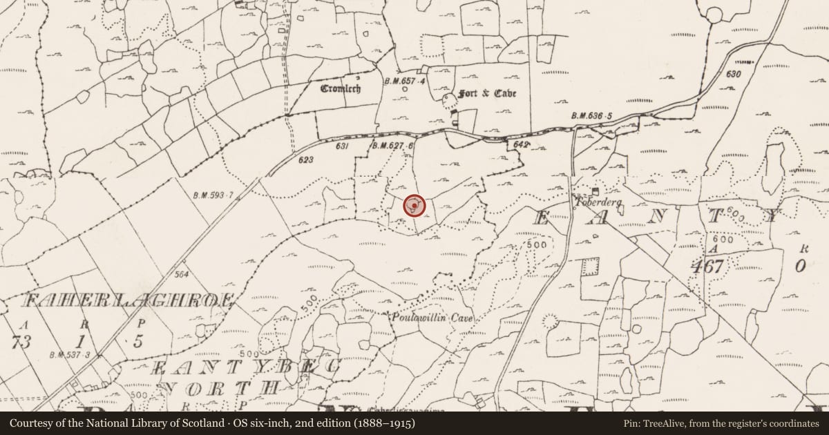 Ordnance Survey six-inch map, 2nd edition (1888–1915) covering the location of Ringfort - cashel, Eantybeg North, County Clare, with a pin at the register's coordinates