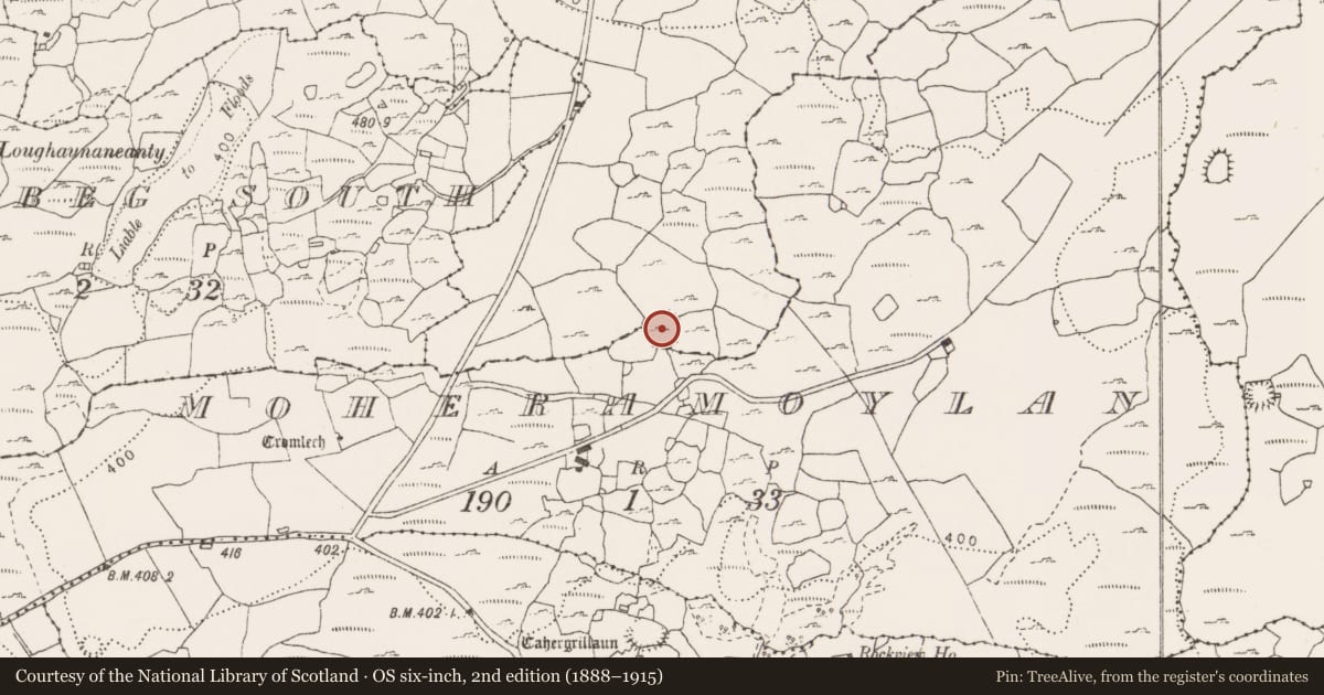 Ordnance Survey six-inch map, 2nd edition (1888–1915) covering the location of Ringfort - cashel, Eanty More, County Clare, with a pin at the register's coordinates