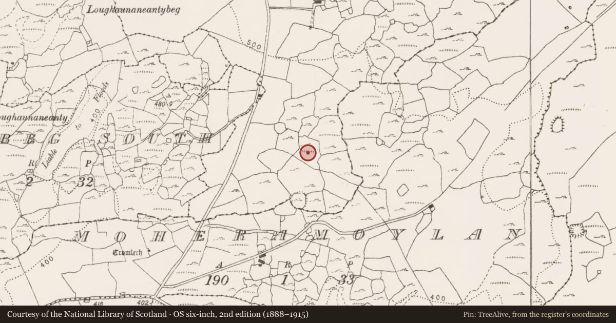 Ordnance Survey six-inch map, 2nd edition (1888–1915) covering the location of Enclosure, Eanty More, County Clare, with a pin at the register's coordinates