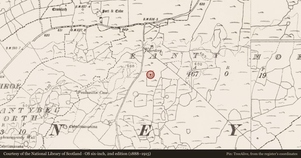 Ordnance Survey six-inch map, 2nd edition (1888–1915) covering the location of Ringfort - cashel, Eanty More, County Clare, with a pin at the register's coordinates