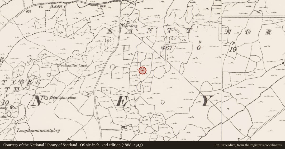 Ordnance Survey six-inch map, 2nd edition (1888–1915) covering the location of Enclosure, Eanty More, County Clare, with a pin at the register's coordinates