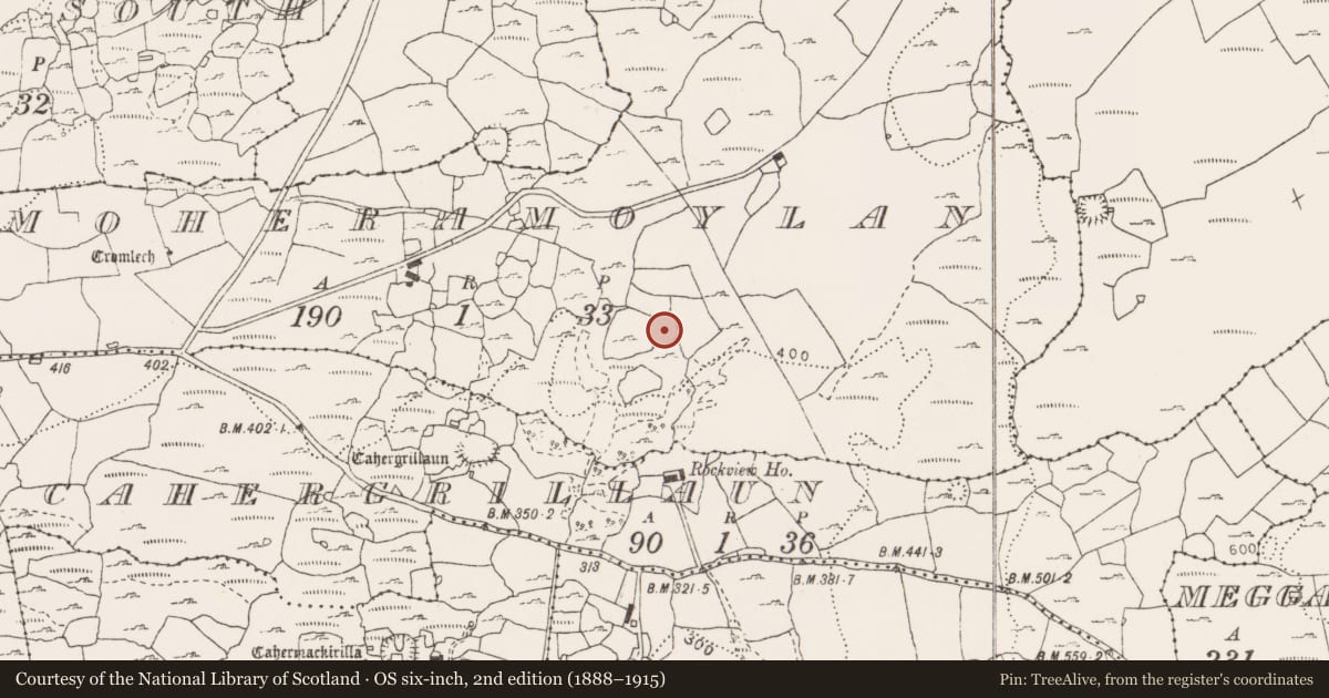 Ordnance Survey six-inch map, 2nd edition (1888–1915) covering the location of Ringfort - cashel, Moheramoylan, County Clare, with a pin at the register's coordinates