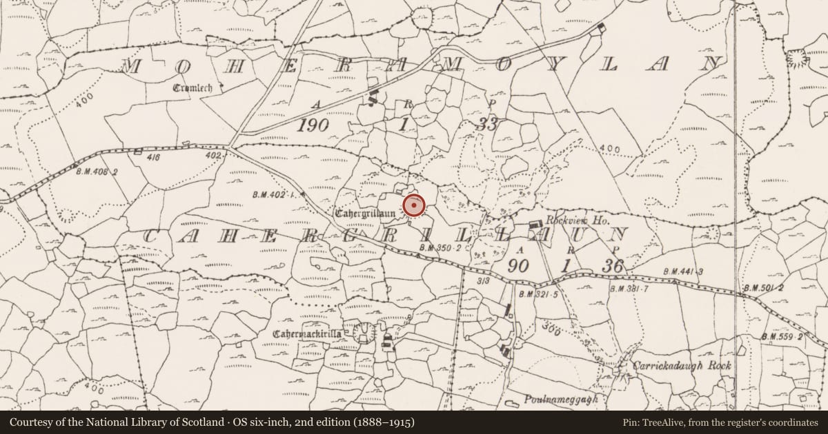 Ordnance Survey six-inch map, 2nd edition (1888–1915) covering the location of Hut site, Cahergrillaun, County Clare, with a pin at the register's coordinates
