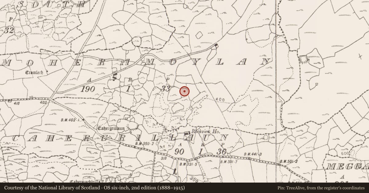 Ordnance Survey six-inch map, 2nd edition (1888–1915) covering the location of Souterrain, Moheramoylan, County Clare, with a pin at the register's coordinates