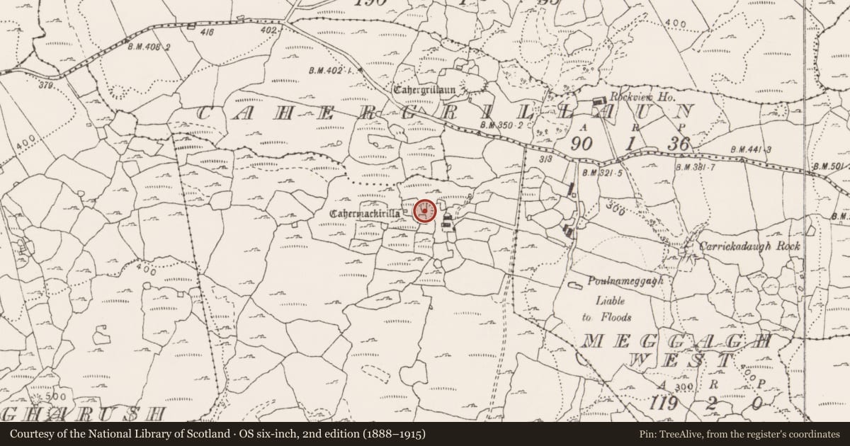 Ordnance Survey six-inch map, 2nd edition (1888–1915) covering the location of Ringfort - cashel, Cahermackirilla, County Clare, with a pin at the register's coordinates