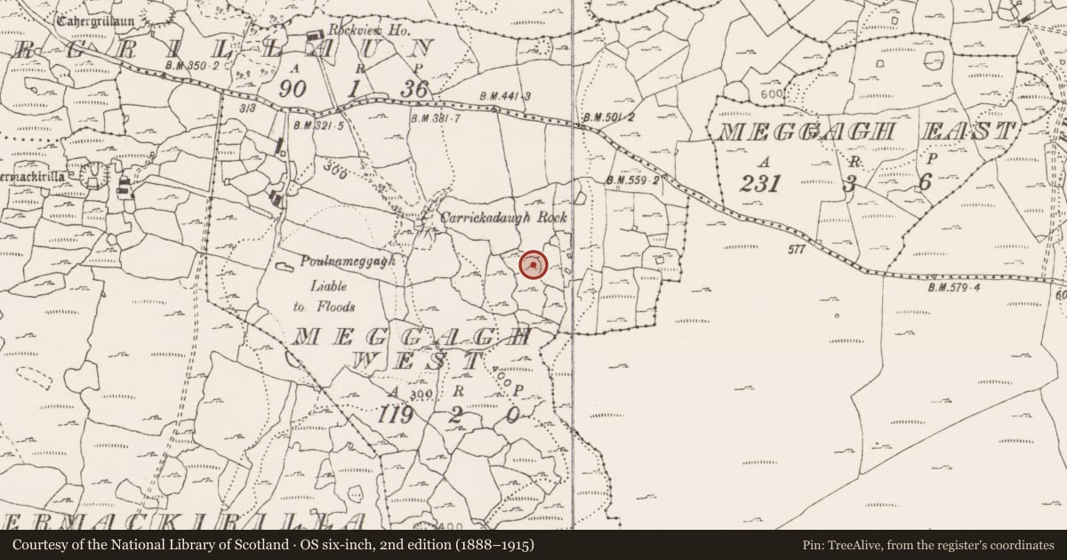 Ordnance Survey six-inch map, 2nd edition (1888–1915) covering the location of Enclosure, Meggagh West, County Clare, with a pin at the register's coordinates
