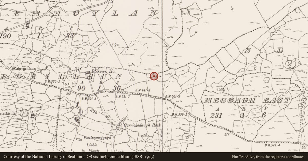 Ordnance Survey six-inch map, 2nd edition (1888–1915) covering the location of Ringfort - cashel, Cahergrillaun, County Clare, with a pin at the register's coordinates