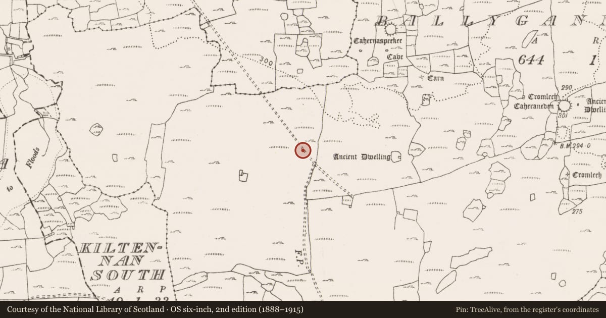 Ordnance Survey six-inch map, 2nd edition (1888–1915) covering the location of Field system, County Clare, with a pin at the register's coordinates