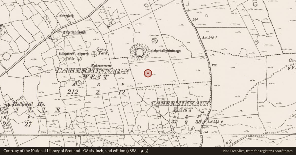 Ordnance Survey six-inch map, 2nd edition (1888–1915) covering the location of Ringfort - cashel, Ballykinvarga, County Clare, with a pin at the register's coordinates