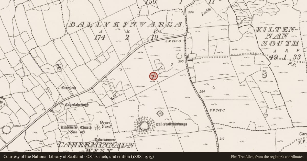 Ordnance Survey six-inch map, 2nd edition (1888–1915) covering the location of Ringfort - cashel, Ballykinvarga, County Clare, with a pin at the register's coordinates