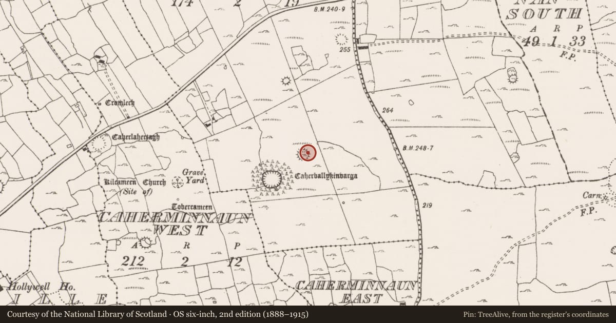 Ordnance Survey six-inch map, 2nd edition (1888–1915) covering the location of Ringfort - cashel, Ballykinvarga, County Clare, with a pin at the register's coordinates