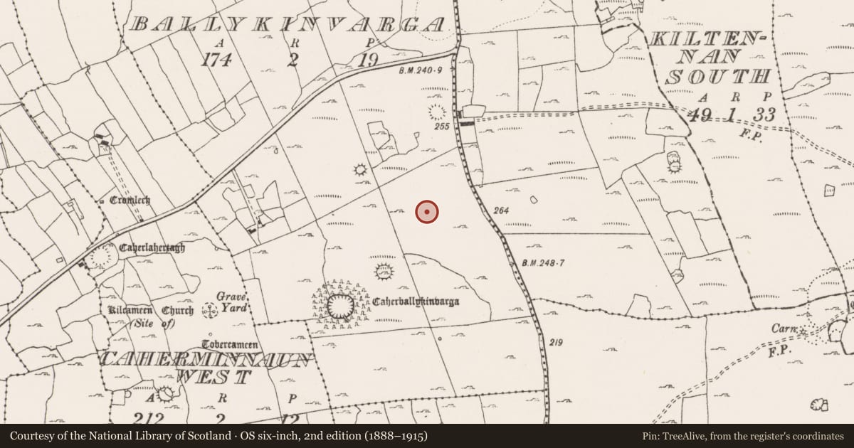 Ordnance Survey six-inch map, 2nd edition (1888–1915) covering the location of Enclosure, Ballykinvarga, County Clare, with a pin at the register's coordinates
