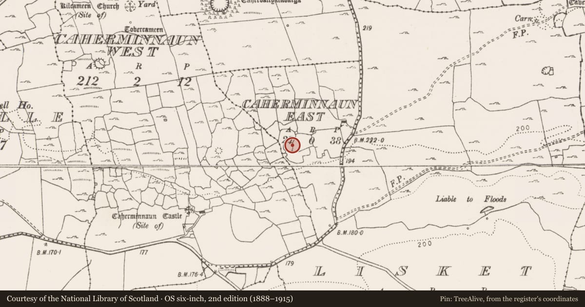 Ordnance Survey six-inch map, 2nd edition (1888–1915) covering the location of Ringfort - cashel, Caherminnaun East, County Clare, with a pin at the register's coordinates