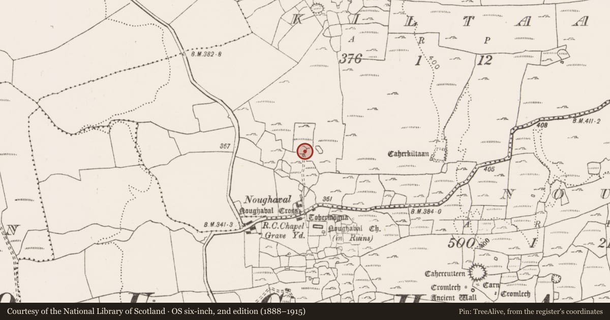 Ordnance Survey six-inch map, 2nd edition (1888–1915) covering the location of Ringfort - cashel, Kiltaan, County Clare, with a pin at the register's coordinates