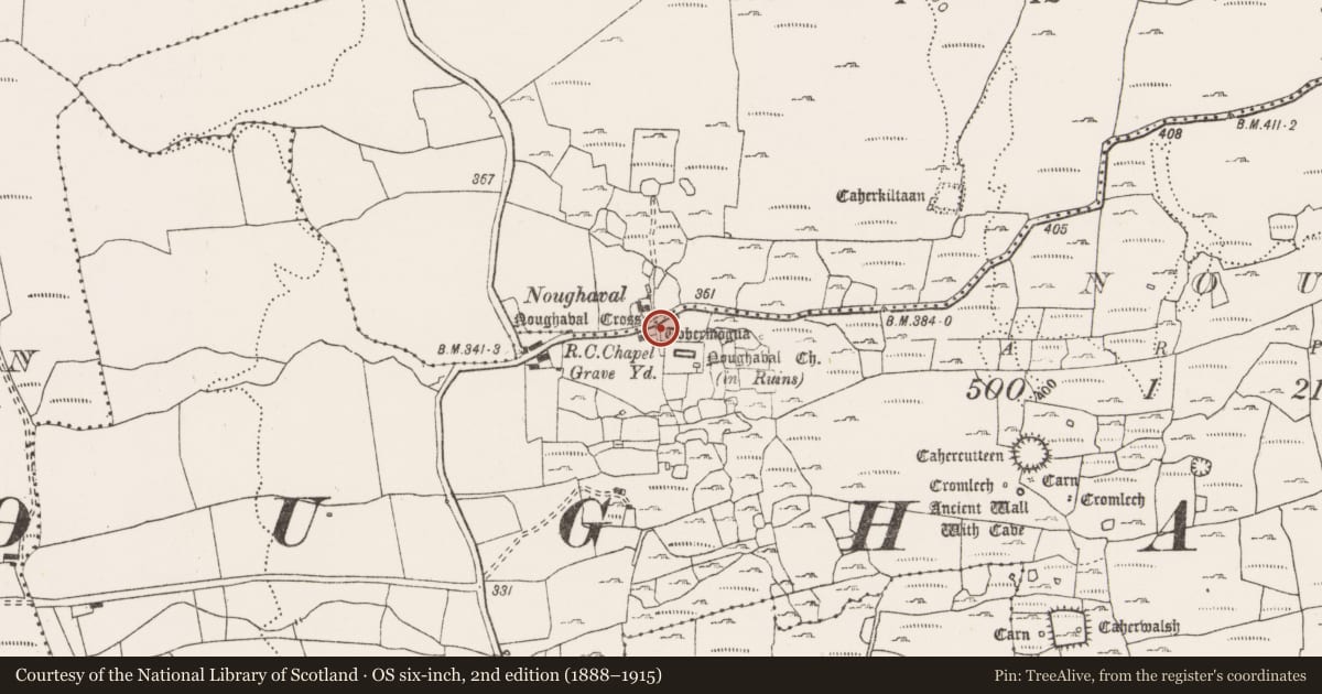 Ordnance Survey six-inch map, 2nd edition (1888–1915) covering the location of Cross - Market cross, Noughaval, County Clare, with a pin at the register's coordinates