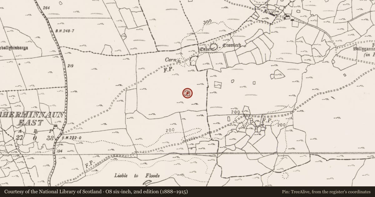 Ordnance Survey six-inch map, 2nd edition (1888–1915) covering the location of Ringfort - cashel, Lisket, County Clare, with a pin at the register's coordinates