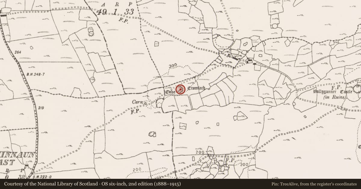Ordnance Survey six-inch map, 2nd edition (1888–1915) covering the location of Ringfort - cashel, Ballyganner South, County Clare, with a pin at the register's coordinates