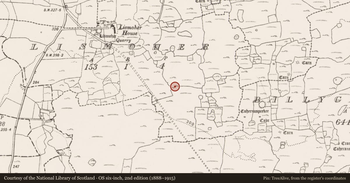 Ordnance Survey six-inch map, 2nd edition (1888–1915) covering the location of Ringfort - cashel, Lismoher, County Clare, with a pin at the register's coordinates